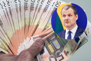 Kilus skandalui G. Palucko brolienės įmonė atsisako europinės paramos