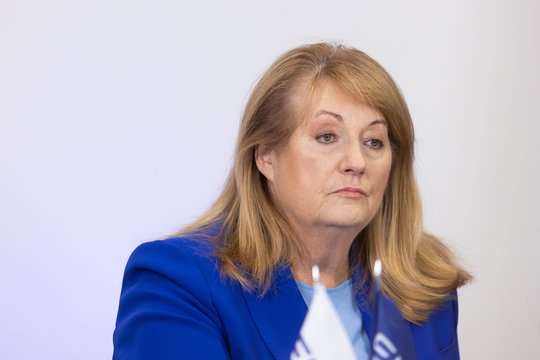 Pastebi sąmoningą socialdemokratų politinę aferą: viskas prasidėjo nuo V. Blinkevičiūtės apgavystės