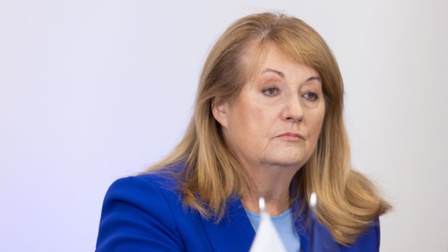 Pastebi sąmoningą socialdemokratų politinę aferą: viskas prasidėjo nuo V. Blinkevičiūtės apgavystės