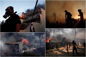 Lietuvos turistų pamėgtame kurorte – masiški gaisrai: namai virsta pelenais, žūsta gyvūnai