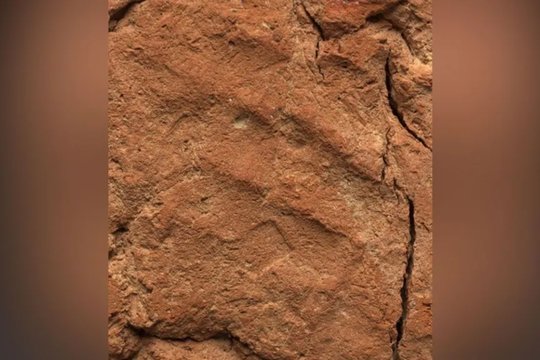 Ant egiptietiško molio dirbinio rastas 4000 metų senumo rankos atspaudas