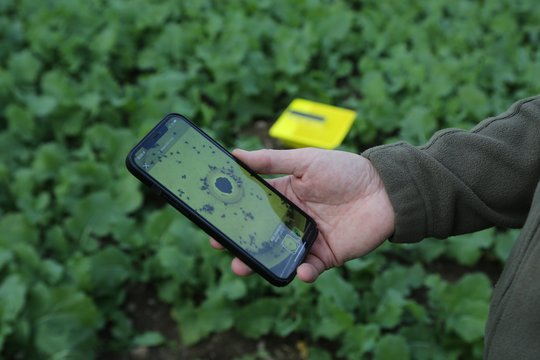 Ūkininkai prieš kenkėjus: technologijos padeda įveikti tai, kas nematoma plika akimi