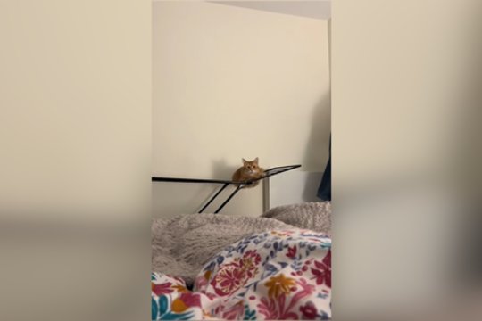 Keturkojis pamokų neišmoko: rizikingai atlikdavo tą patį veiksmą