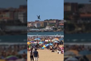 Aviacijos šou metu pilotas vos nesitrenkė į žemę: apkaltino paukščius