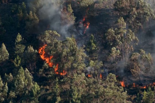 Vaizdai iš liepsnose skendinčios Portugalijos: bene visoje šalyje paskelbtas pavojus 