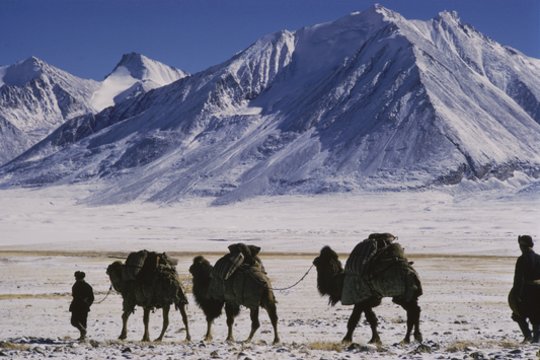 Bejėgį lietuvį ir aptemusios sąmonės turką Pamyro kalnuose išgelbėjo Latvijos alpinistai