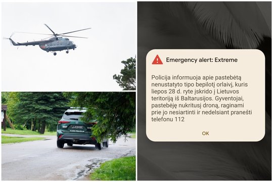 Kariuomenė tęsia drono paiešką: jau apklausta apie 100 žmonių, pasitelktas užduočių būrys