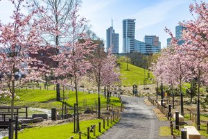 Vilniaus šlaite slypi dar daugelio neatrastas sodas: kiekvienas žingsnis ten – lyg meditacija
