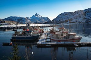 Rusai ir norvegai susipešė dėl žuvų: tapo tikru diplomatiniu kivirču