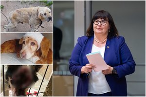 O. Leiputė: gyvūnų gerovės neužtikrinsime, jeigu bijosime „nuskriausti“ gyvūnų kankintojus