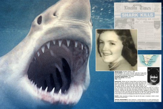 Pasaulį sustingdžiusi tragedija: vaikų akyse milžiniškas ryklys suplėšė ir surijo mamą