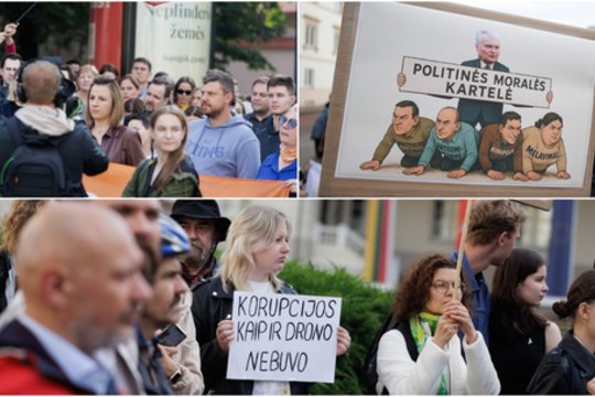 Vilniaus centre – protestuotojų minia: prezidentui skrieja aštrios strėlės, raginama nustoti žeminti visuomenę