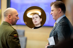 A. Veryga apie D. Šakalienės ir G. Jeglinsko ginčą: atrodo keistai