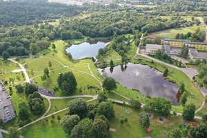 Tauragė padarė tai, apie ką kiti miestai tik svajoja – čia susitinka visos kartos