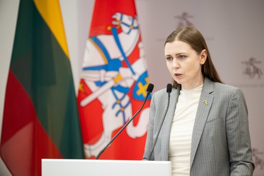 Radus droną – D. Šakalienės raginimas neturėti nerealistiškų ekspektacijų: tokių incidentų skaičius augs