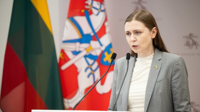 Radus droną – D. Šakalienės raginimas neturėti nerealistiškų ekspektacijų: tokių incidentų skaičius augs