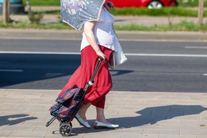 Palaiminta dar viena reforma, bet ar tikrai verta džiūgauti? Netrukus Lietuva gali susidurti su opia problema