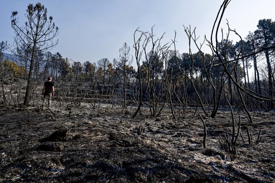 Miškų gaisrai Ispanijoje ir Portugalijoje didžia dalimi suvaldyti