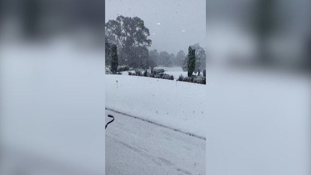 Tokią žiemą Australija seniai regėjo: vietose iškrito 40 centimetrų sniego 