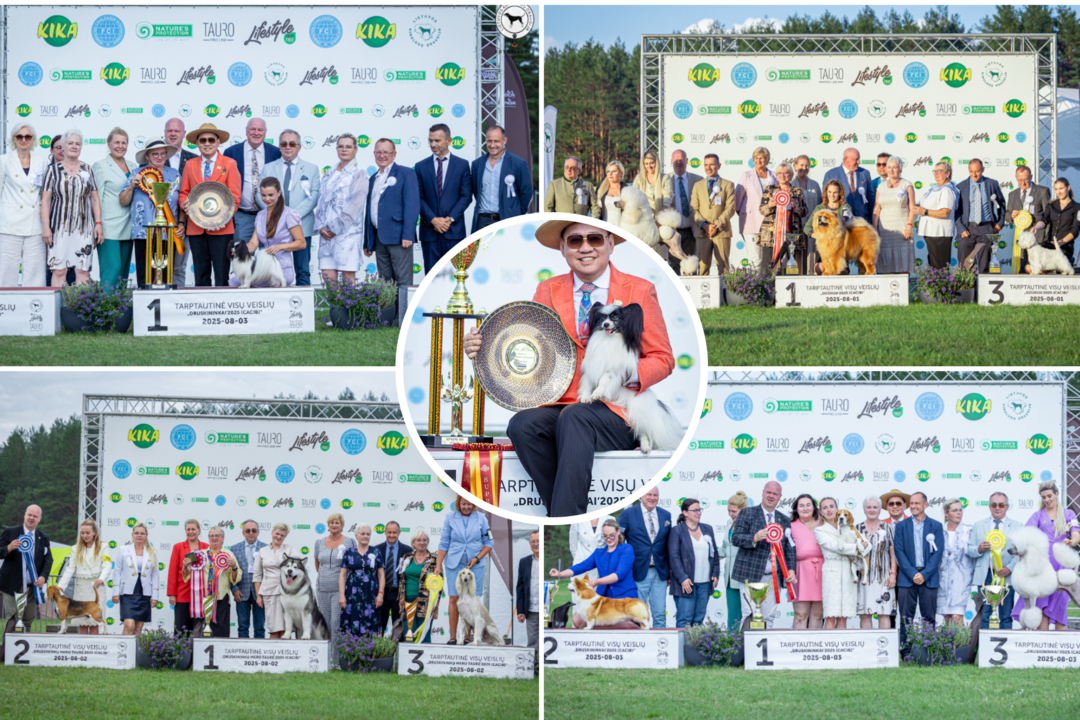 Tarptautinėje šunų parodoje Druskininkuose – Lietuvos keturkojų triumfas