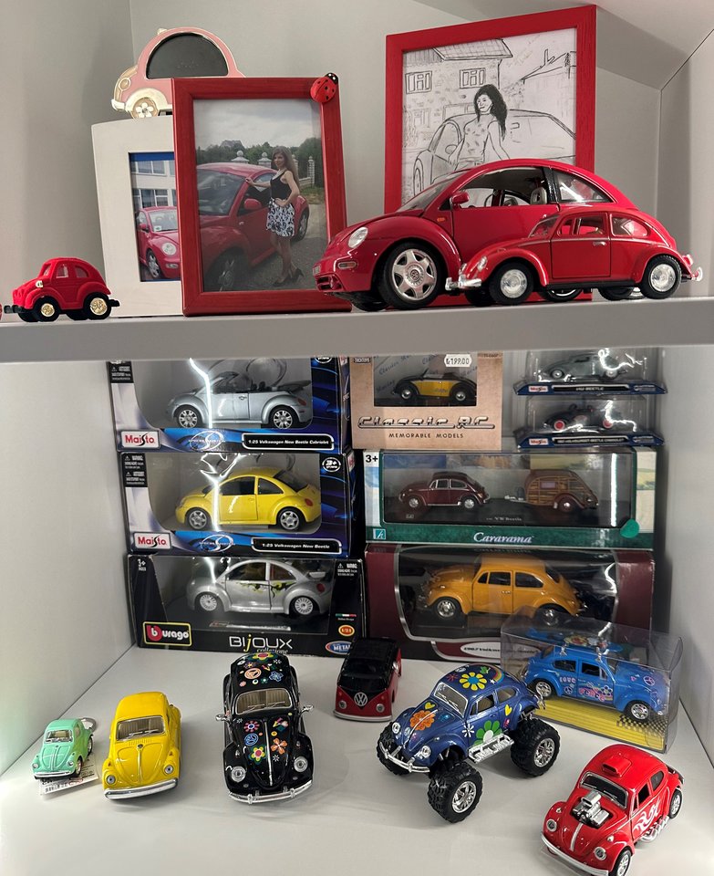 Gydytoja E. Ruibienė kolekcionuoja įvairaus dydžio Volkswagen „Beetle“ modeliukus.<br>Asmeninio archyvo nuotr.