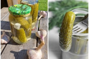 Traškūs marinuoti agurkai – nepatingėkite ir žiemą padėkosit patys sau