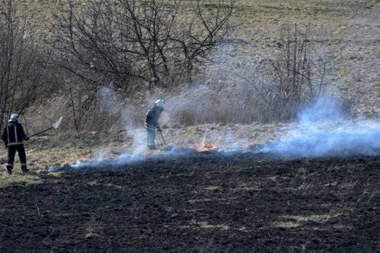 Vilkaviškio r. ir Marijampolės savivaldybėje ugniagesiai gesino užsidegusią žolę