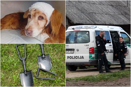 Gauso kankintojų laukia atpildas: byloje – nauji faktai ir paskutinieji taškai