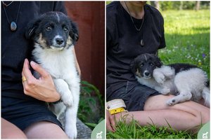 Mažiausias ir drąsiausias iš vados – 3 mėn. Jurginas laukia nuostabių žmonių