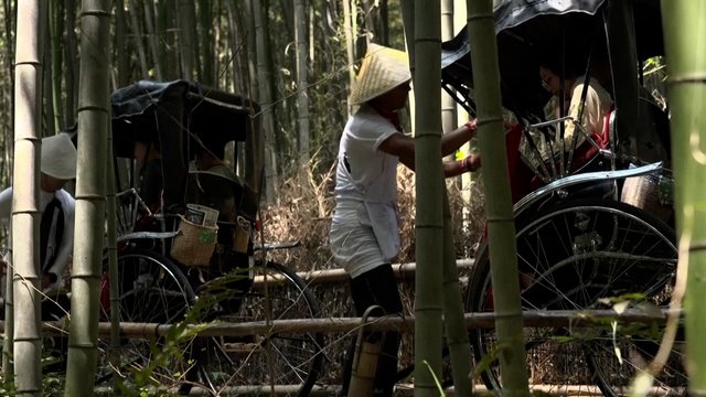 Japonijoje – neeilinis pirmadienis: dėl karščio bangos šalyje sumušti 17 rekordų