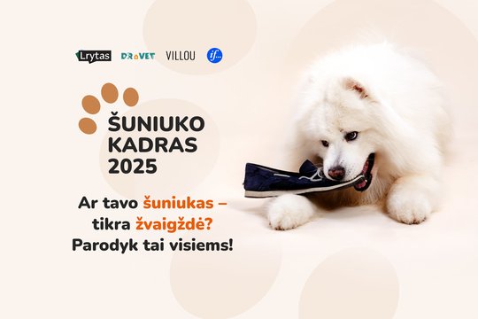 Šuniuko kadras 2025