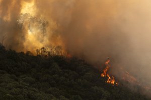 Po karščio bangos Laplandijoje – miškų gaisrai: keletą jų sukėlė perkūnijos frontas