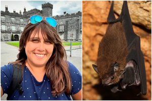 Moteriai į burną įskrido šikšnosparnis: kas įvyko netrukus, buvo dar blogiau