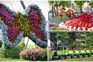 Kai želdiniai tampa širdimi: Linkuva – miestelis, kurį verta pamatyti šią vasarą