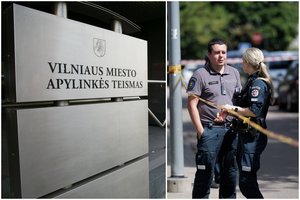 Teismas leido suimti 15-mečio vilniečio nužudymu įtariamą jo bendraamžį