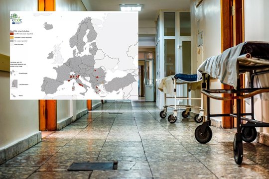 Italijoje – didelis viruso protrūkis: jau mirė 10 žmonių