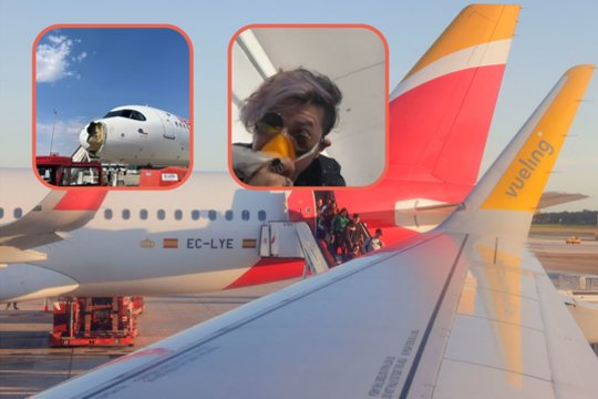 Tikras košmaras Ispanijos danguje: lėktuvas susidūrė su paukščiu