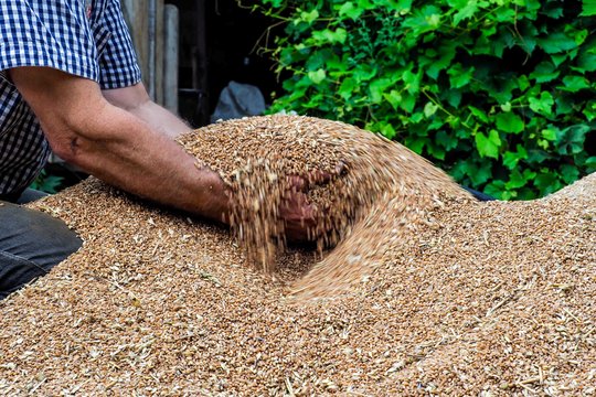 ŽŪM kreipėsi į šalies verslą: esami įkainiai Lietuvoje yra neadekvatūs