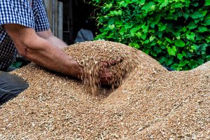 ŽŪM kreipėsi į šalies verslą: esami įkainiai Lietuvoje yra neadekvatūs