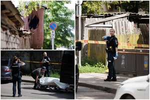 Žiauraus 15-mečio nužudymo Žvėryne byloje – naujos detalės: įtariamas žudikas – aukos bendraklasis