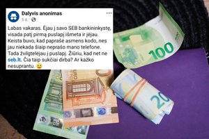Įspėja apie gudrias sukčių pinkles: suklastoti bankų puslapiai – pirmi paieškų rezultatuose