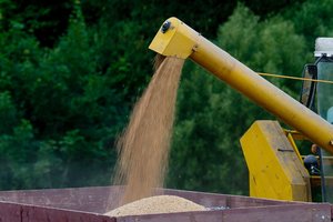 Maisto taryba nagrinės neproporcingus grūdų džiovinimo įkainius: galiausiai tai nugula ant vartotojų pečių