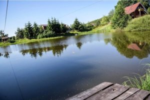 Ant prekystalio – garsi kaimo turizmo sodyba: kaina išties nustebins