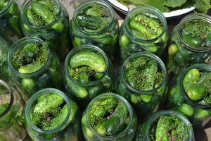 Ką daryti, kad konservuoti agurkai būtų traškūs: padės vos pora gudrybių