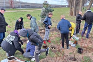 Šiame mieste kasmet pasodinama tiek medžių, kiek kitur – per dešimtmetį