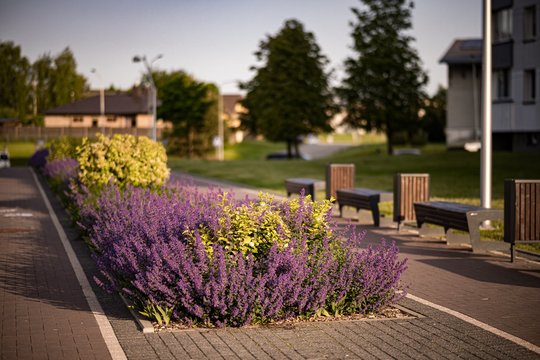 Buvęs pilkas takas virto traukos vieta visai Jonavai 