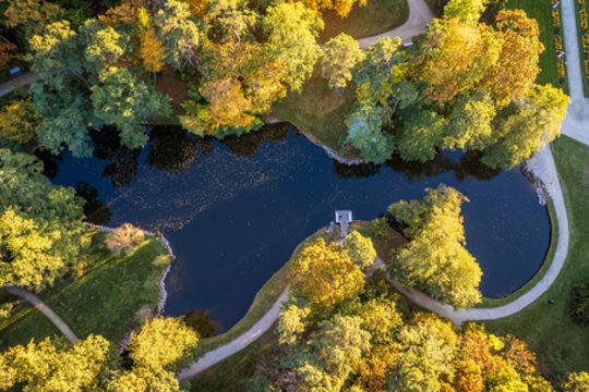 Vienintelė tokia žalioji erdvė Lietuvoje – ir ji atsiveria į jūrą