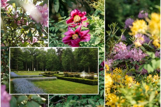 Ramybės prieglobstis Palangoje, apie kurį žino dar toli gražu ne visi