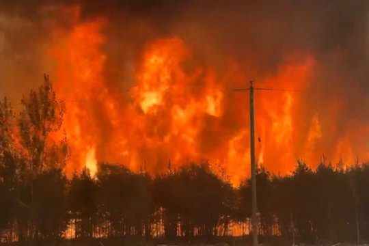 Aiškėja įtartinomis aplinkybėmis Kanadoje kilusio gaisro kaltininkas – tiesa neįtikėtina