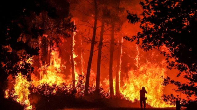 Dėl kilusio gaisro Prancūzijoje jau išdegė 11 tūkst. hektarų: įspėja – situacija sudėtinga